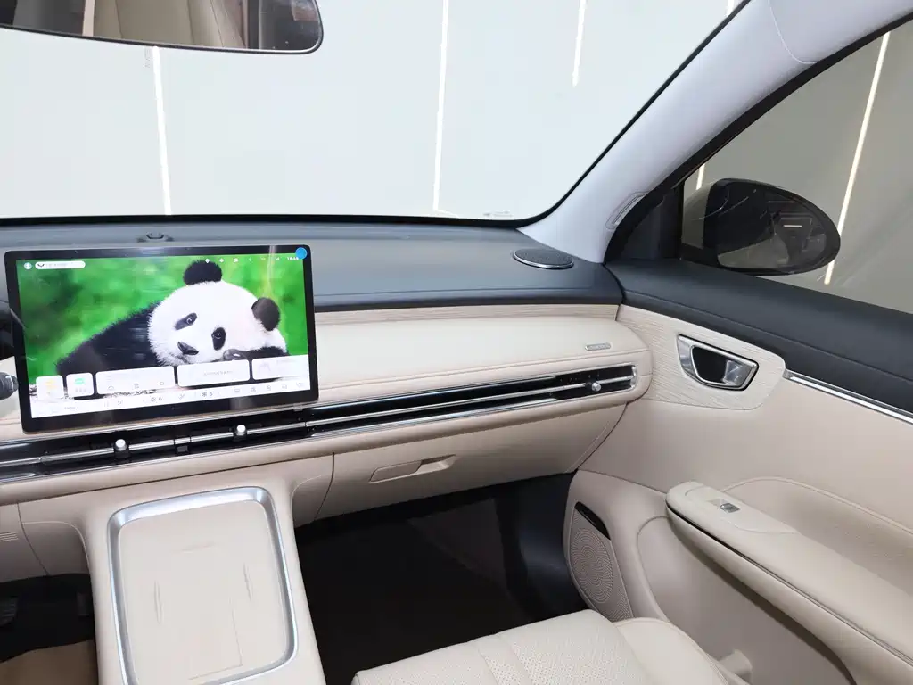 Bingo S 2025 Edition 430km Flagship Model