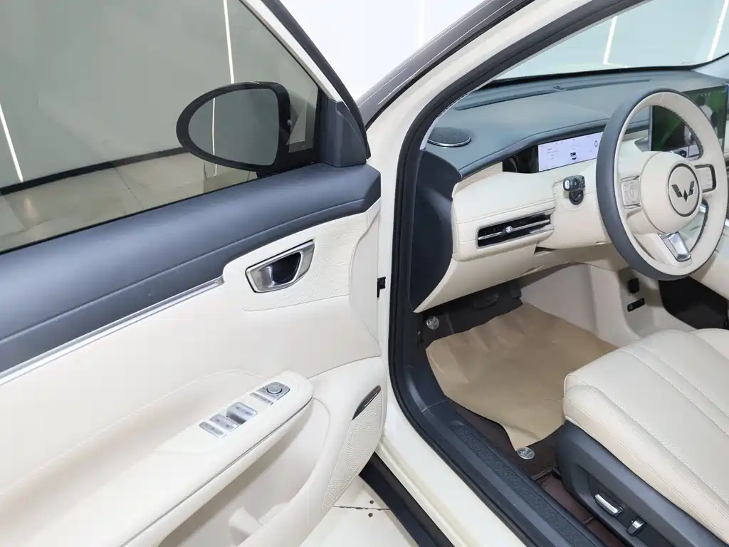 Bingo S 2025 Edition 430km Flagship Model