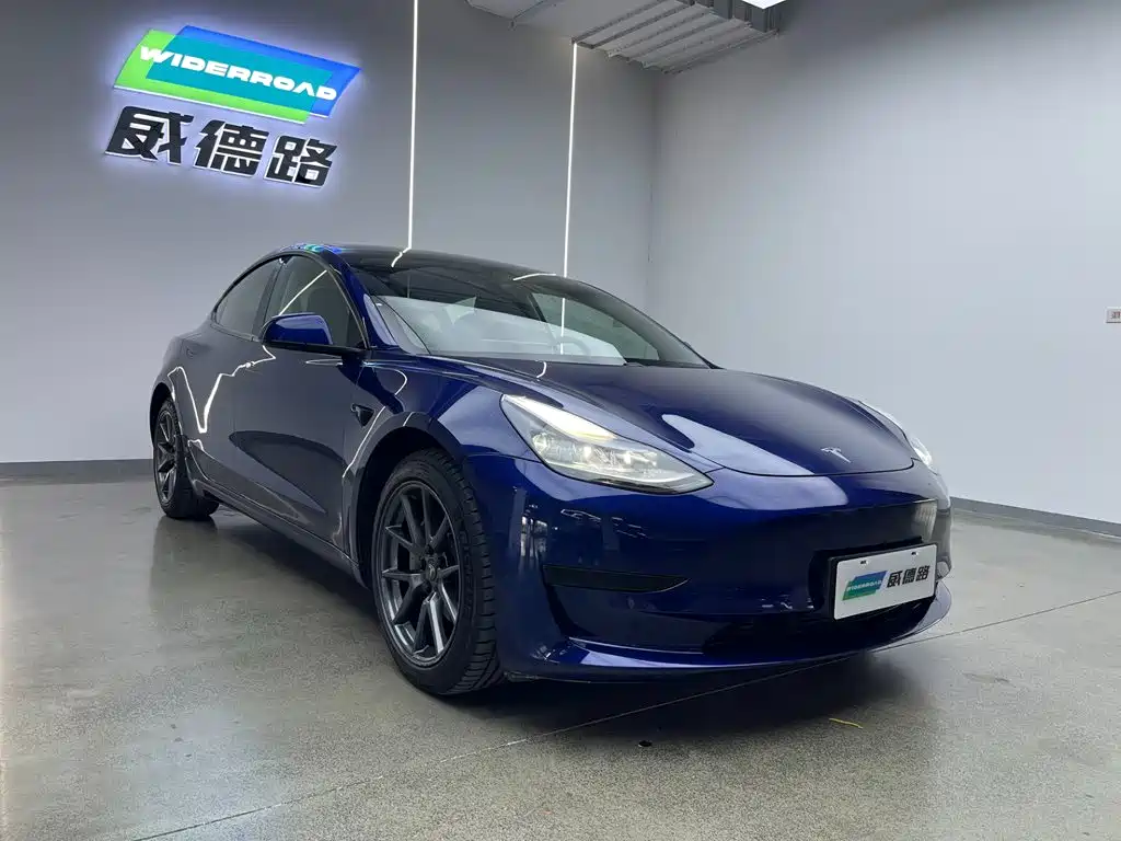 Model 3 2021 Rear-Wheel Drive Standard Range Upgrade Edition 3D1
