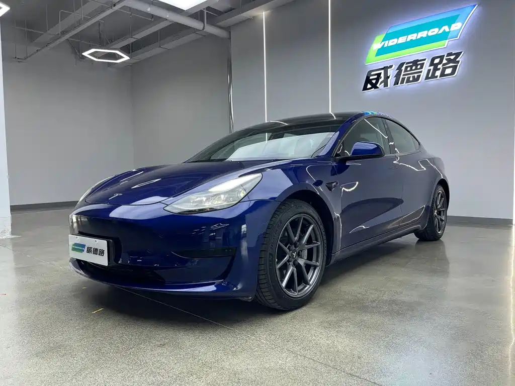 Model 3 2021 Rear-Wheel Drive Standard Range Upgrade Edition 3D1