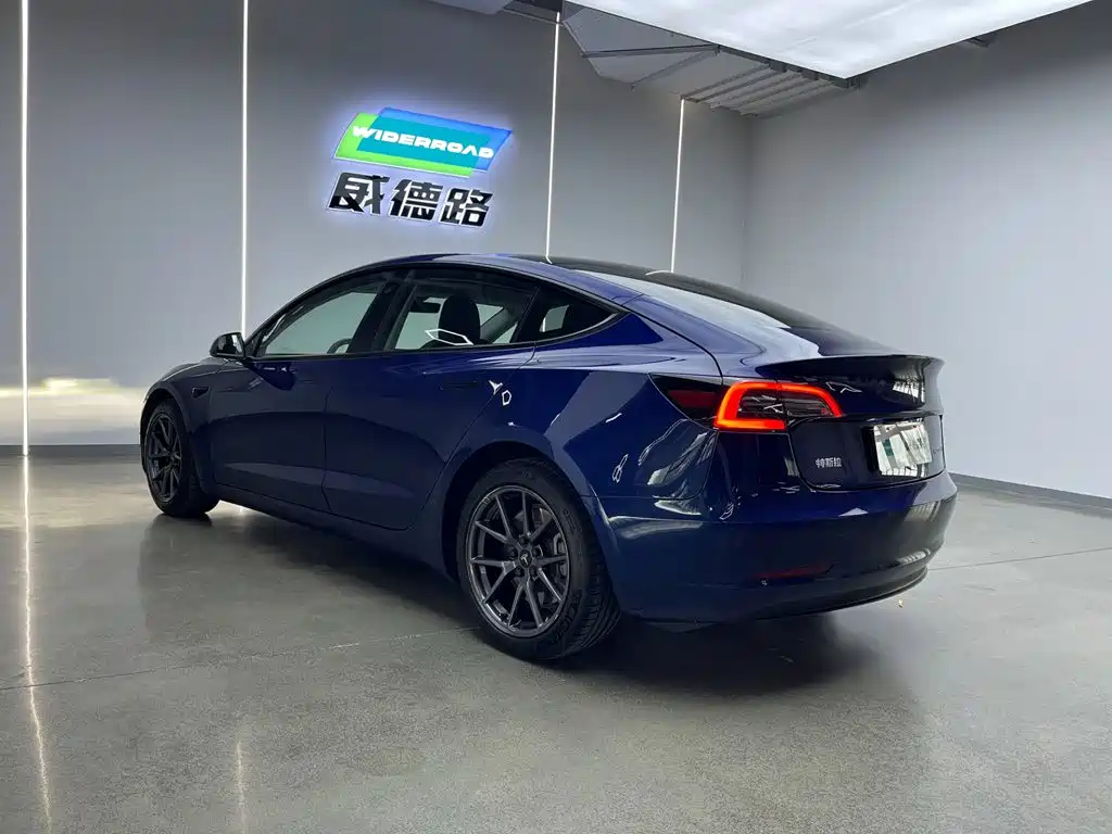 Model 3 2021 Rear-Wheel Drive Standard Range Upgrade Edition 3D1