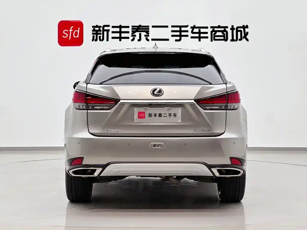 Lexus RX 2020 Facelift 300 4WD Elegant Edition
