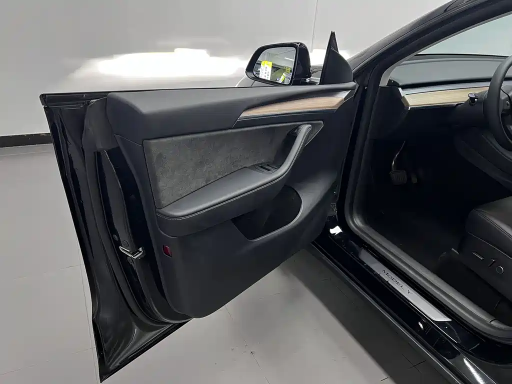 Model Y 2022 Rear-Wheel Drive Edition