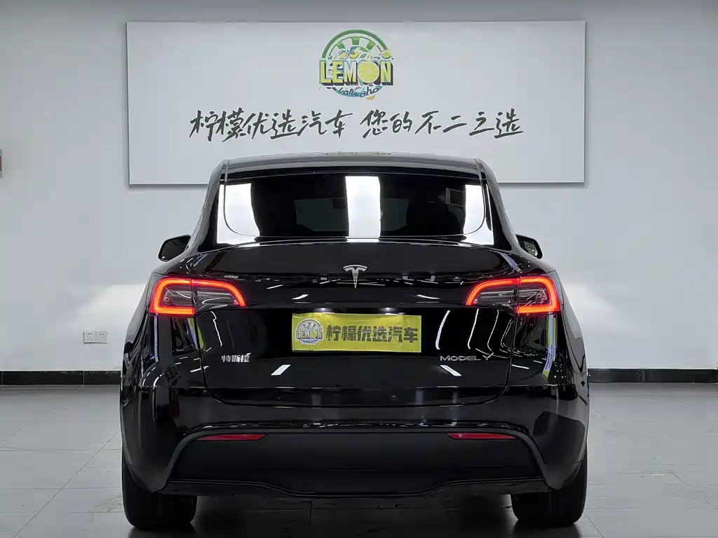 Model Y 2022 Rear-Wheel Drive Edition