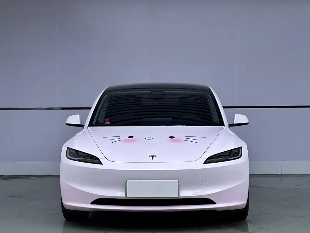 Model 3 Rear-Wheel Drive 2023