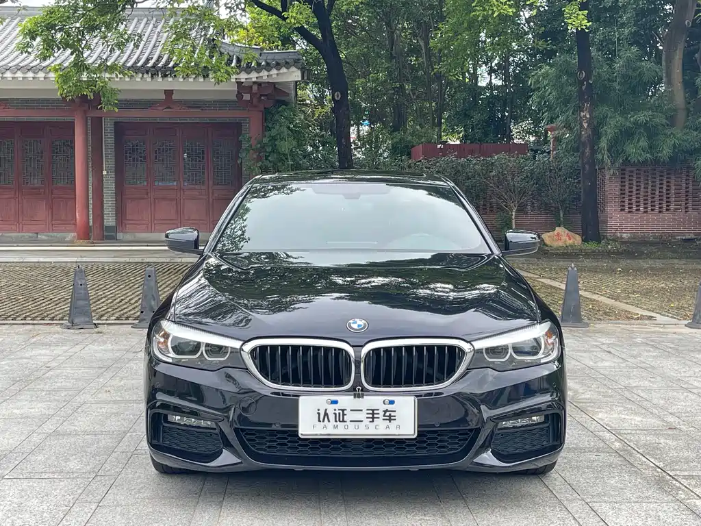 BMW 5 Series Import 2019 525i M Sport Package