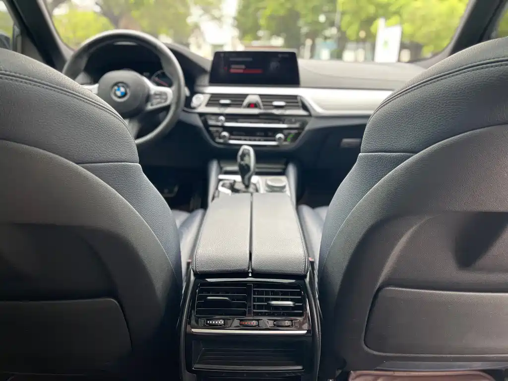 BMW 5 Series Import 2019 525i M Sport Package