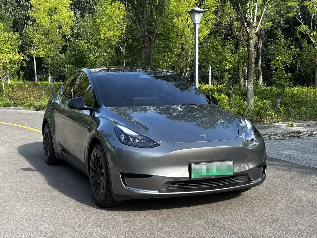Model Y 2022 Rear-Wheel Drive Edition