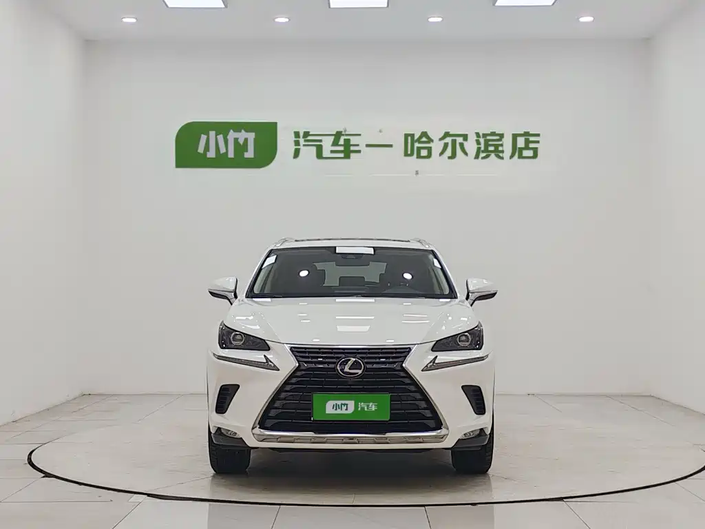 Lexus NX 2020 300h Front-wheel Drive Fengshang Edition National VI