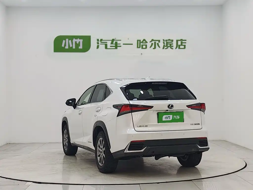 Lexus NX 2020 300h Front-wheel Drive Fengshang Edition National VI