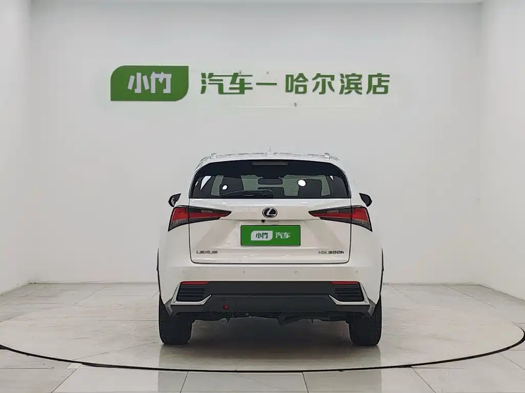 Lexus NX 2020 300h Front-wheel Drive Fengshang Edition National VI
