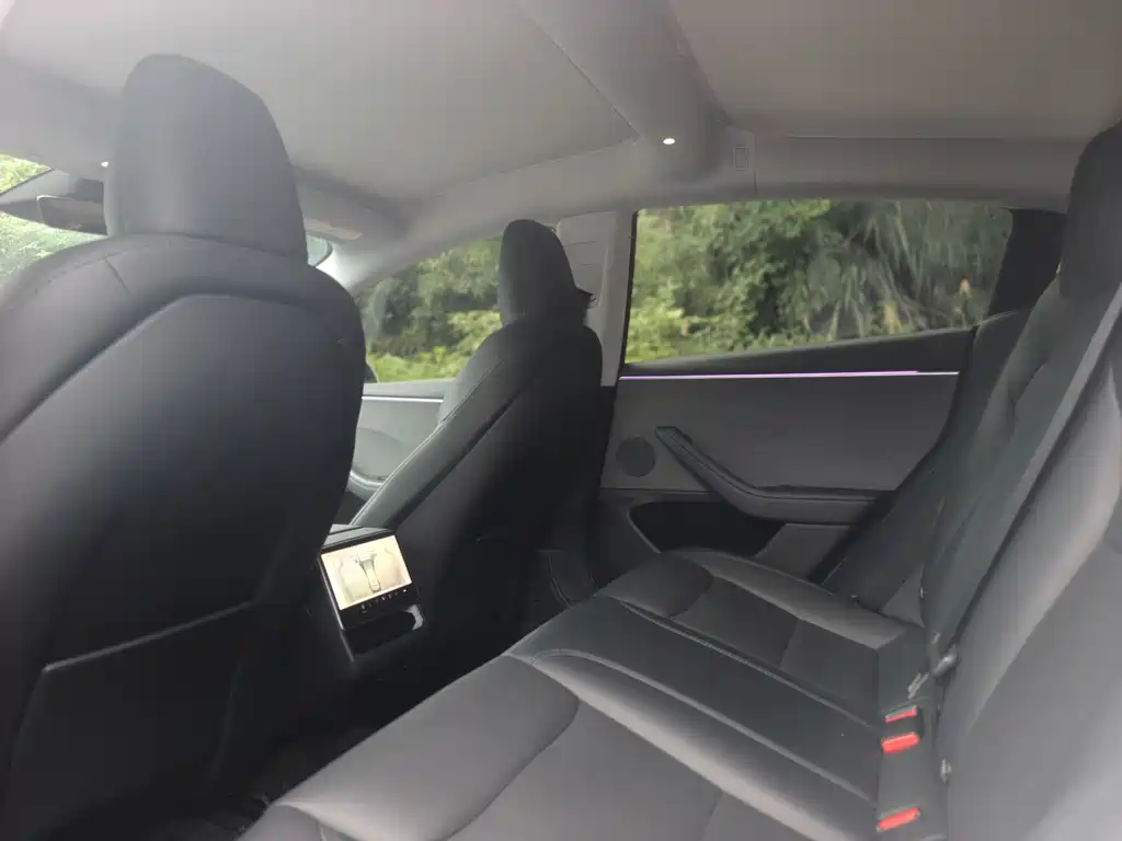 Model 3 Rear-Wheel Drive 2023