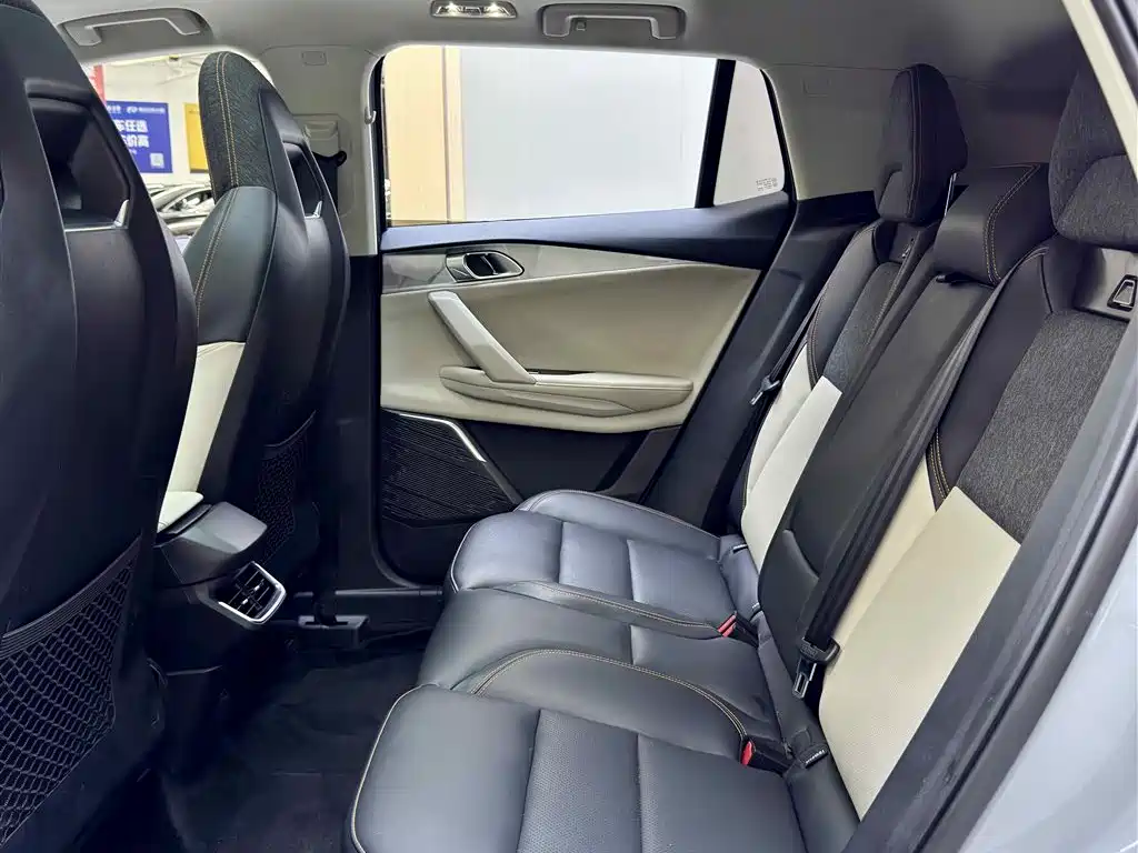LEON 06 EM-P 2023 1.5T Remix PHEV Pro
