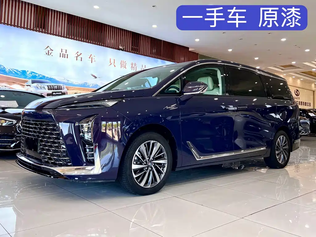 Buick GL8 New Energy 2026 Model LuZun Shexiang Version