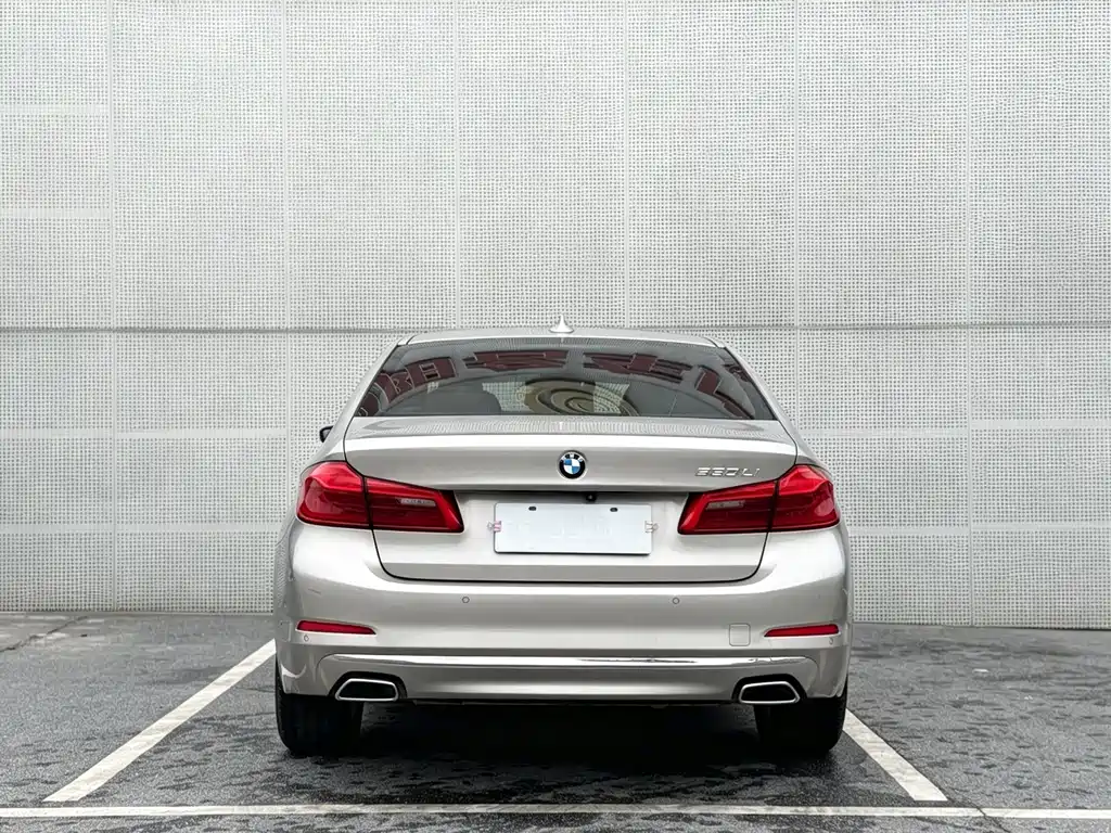 BMW 5 Series 2020 530Li Leading Edition Luxury Package