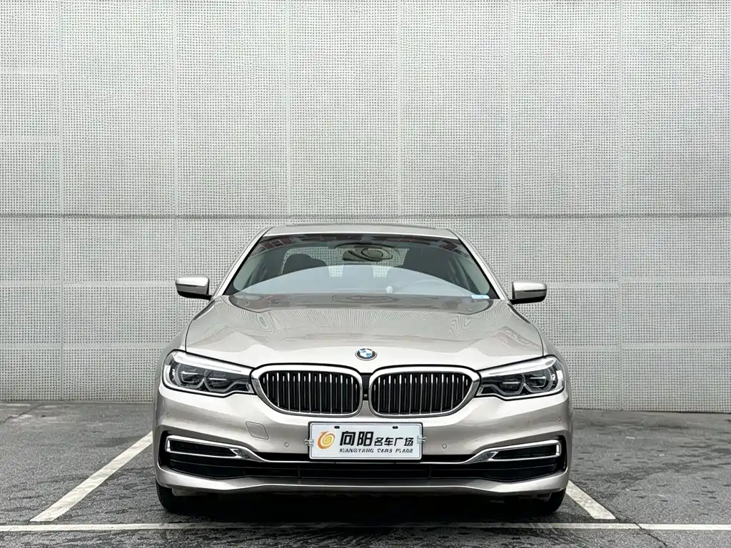 BMW 5 Series 2020 530Li Leading Edition Luxury Package