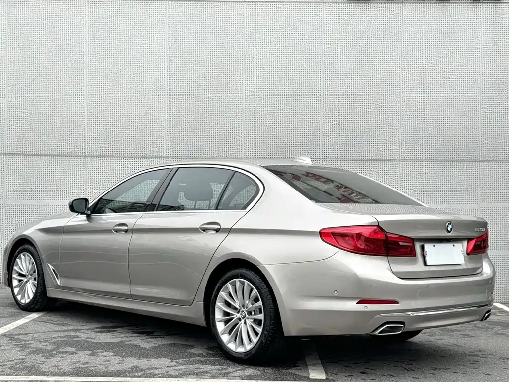 BMW 5 Series 2020 530Li Leading Edition Luxury Package