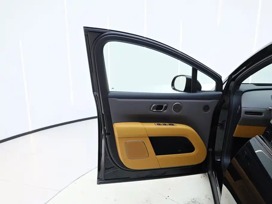 Lemon i6 2025 Model Two-wheel-drive Standard Edition